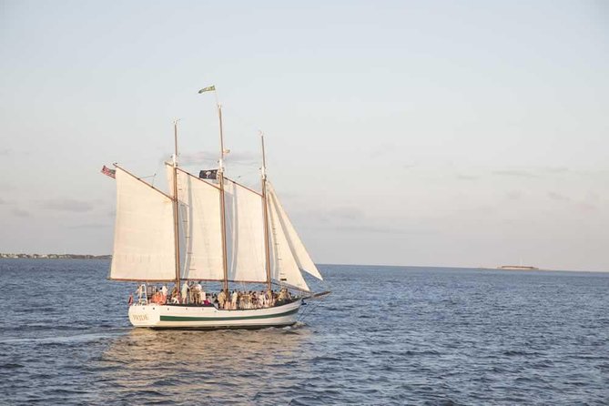 Afternoon Schooner Sightseeing Dolphin Cruise on Charleston Harbor - Dolphin Watching on a Moving Sailboat