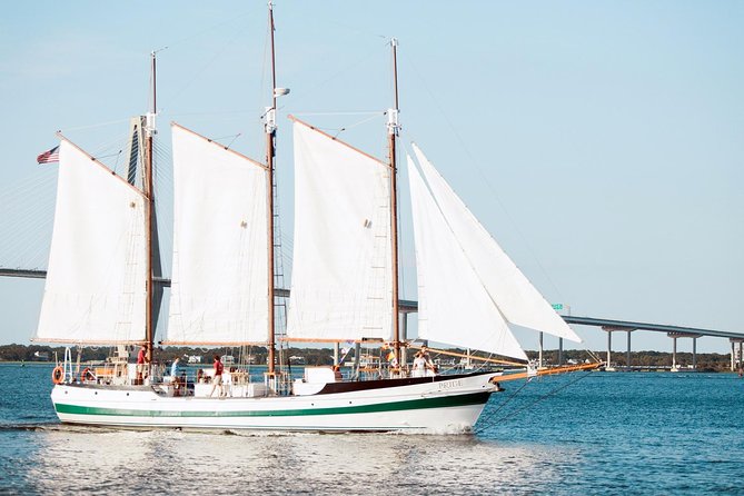 Afternoon Schooner Sightseeing Dolphin Cruise on Charleston Harbor - Drinks, Snacks, and Comfort on Deck