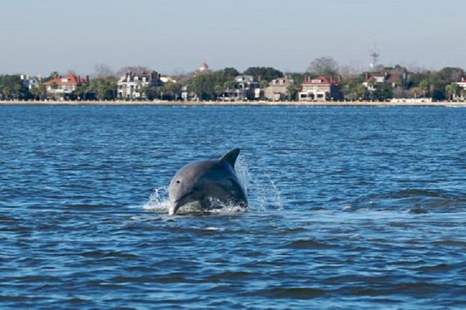 Afternoon Schooner Sightseeing Dolphin Cruise on Charleston Harbor - Patriots Point and the USS Yorktown