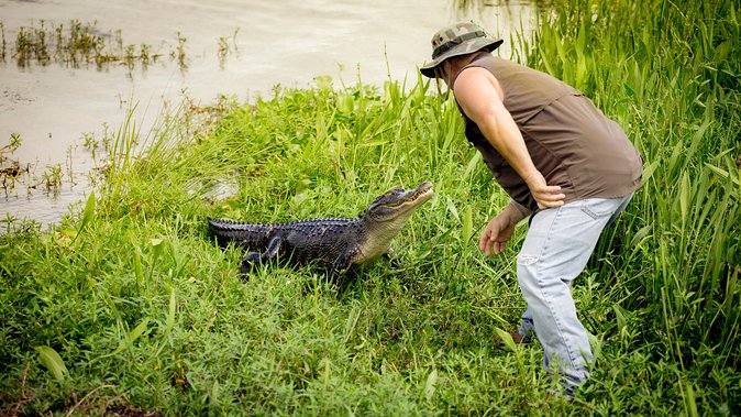Airboat Ride with Transportation from New Orleans - Is the $90 Price a Good Value?