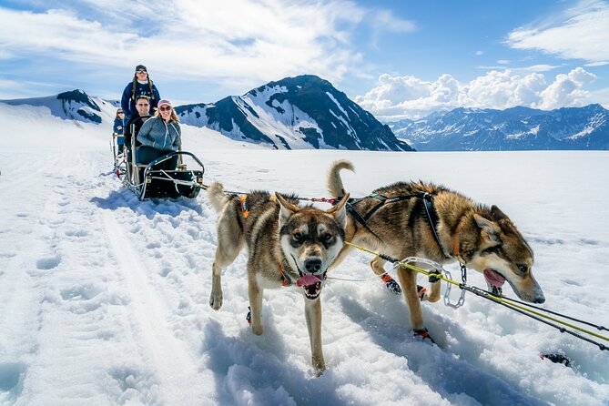 Alaska Helicopter and Glacier Dogsled Tour - ANCHORAGE AREA - From Palmer to the high snowfields