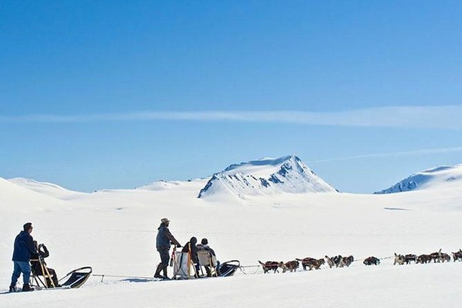 Alaska Helicopter and Glacier Dogsled Tour - ANCHORAGE AREA - Weather, comfort, and practical limits