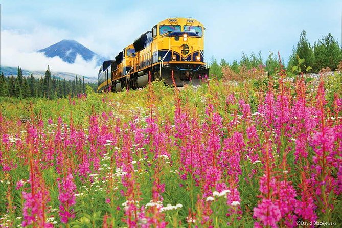 Alaska Railroad Anchorage to Seward Round-Trip Same Day Return - Why the train is a smart way to see Alaska