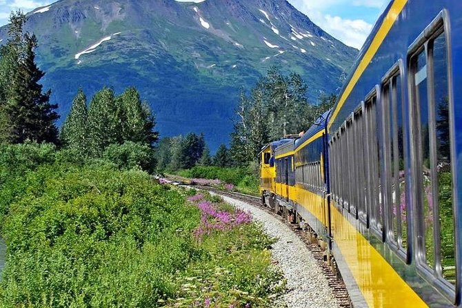 Alaska Railroad Anchorage to Seward Round-Trip Same Day Return - 11:05 a.m. in Seward
