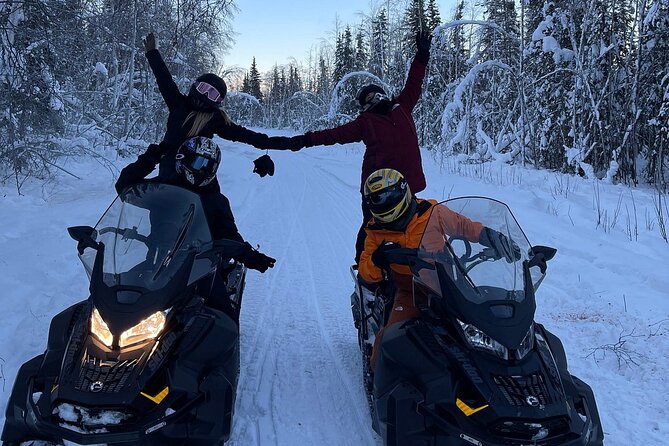 Alaska Snowmobile Adventure Tour - What the one-hour ride feels like