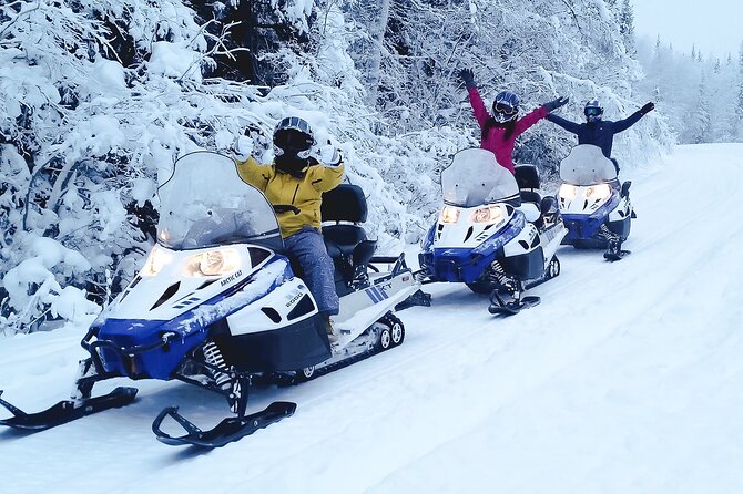 Alaska Snowmobile Adventure Tour - Double riding, single riding, and group size