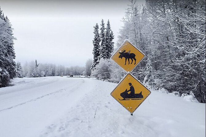 Alaska Snowmobile Adventure Tour - Stop 2: Chena River Lakes Recreation Area