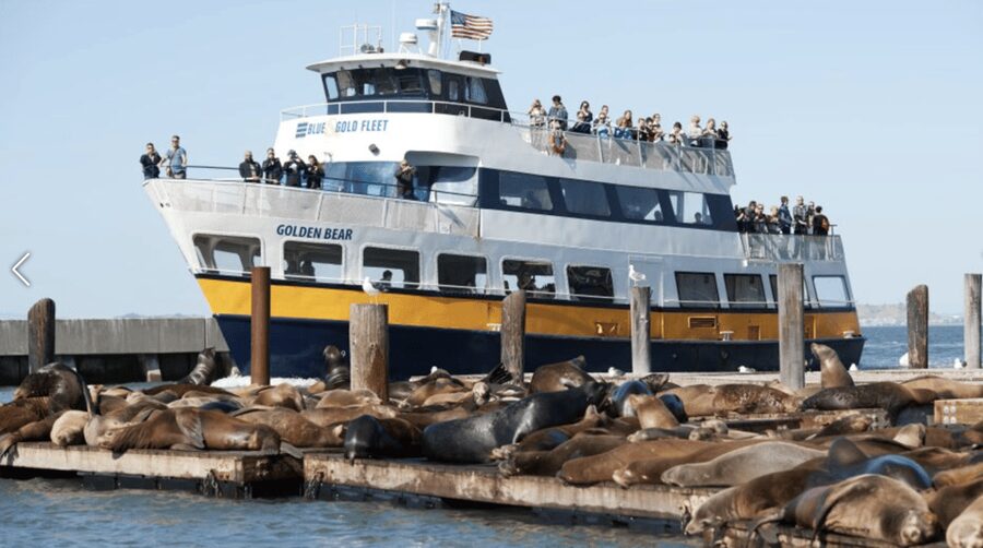 Alcatraz Island Prison Tour & Bay Cruise Combined Package - Who will enjoy this package most?
