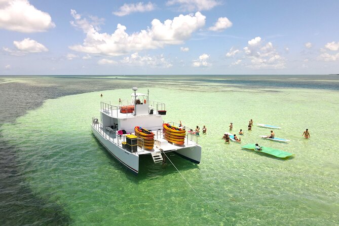 All-Inclusive Sandbar Safari with Dolphin Playground Encounter - Weather, water conditions, and realistic expectations
