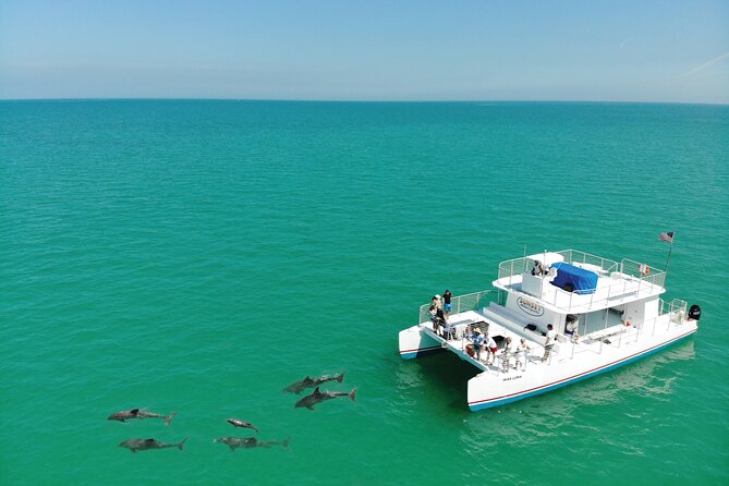 All-Inclusive Sandbar Safari with Dolphin Playground Encounter - Who will get the most from this Key West cruise