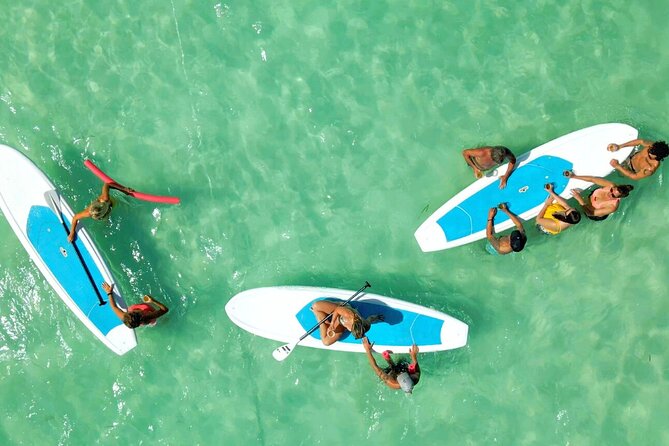 All-Inclusive Sandbar Safari with Dolphin Playground Encounter - Practical details that affect your day