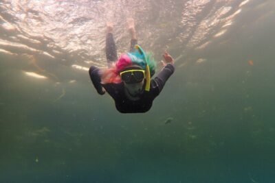 All-Inclusive Small Group Manatee Swim with Free Photos
