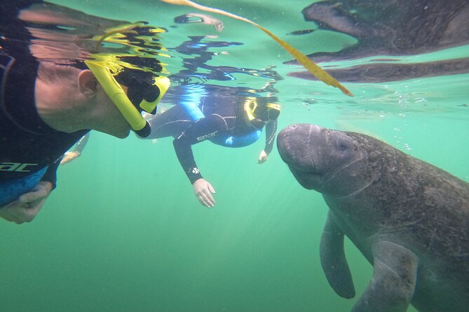 All-Inclusive Small Group Manatee Swim with Free Photos - Wetsuits, cold water, and hot chocolate