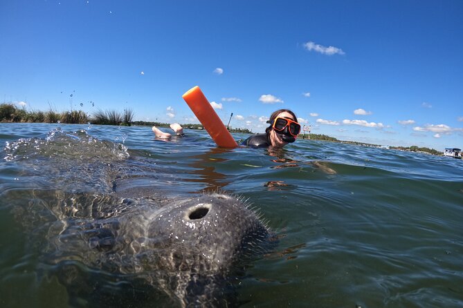 All-Inclusive Small Group Manatee Swim with Free Photos - How family-friendly is the experience?