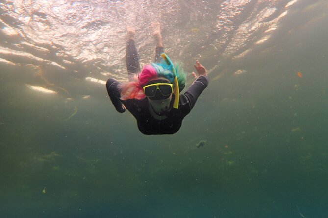 All-Inclusive Small Group Manatee Swim with Free Photos - Arriving at Nature’s Discovery