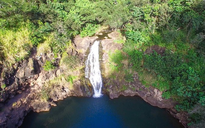 All Inclusive Ultimate Circle Island Tour, Waimea Falls & Lunch - Starting through Waikiki and Kapiolani Park