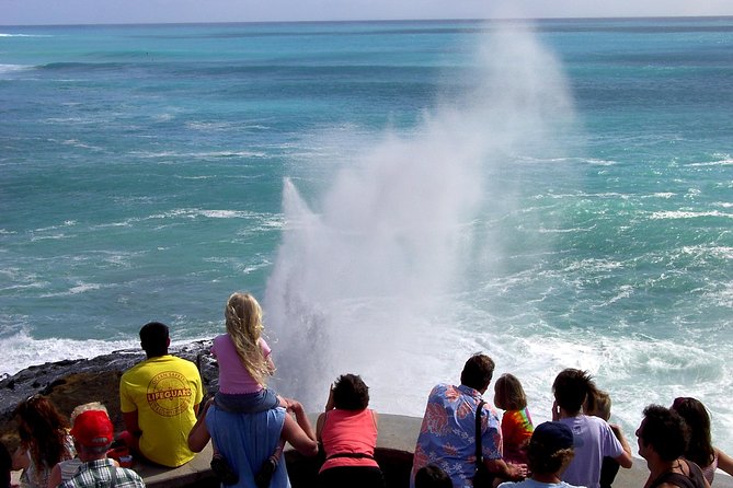 All Inclusive Ultimate Circle Island Tour, Waimea Falls & Lunch - Nu’uanu Pali Lookout and Byodo-in Temple