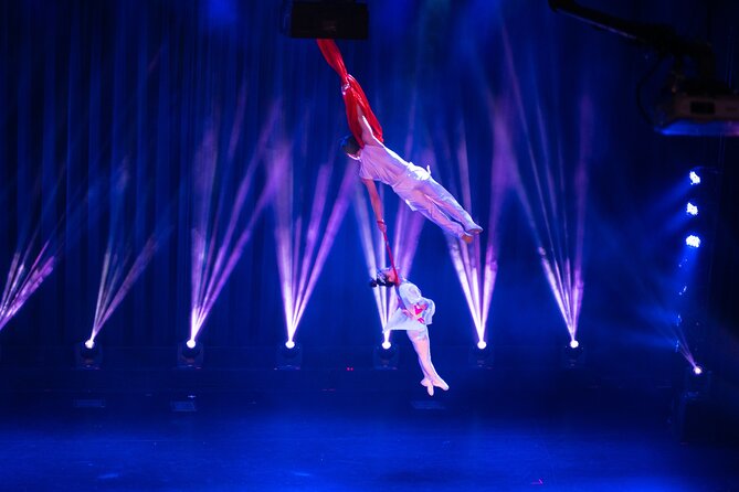 Amazing Acrobats: Grand Shanghai Circus Show in Branson - The acrobatics are the reason to go