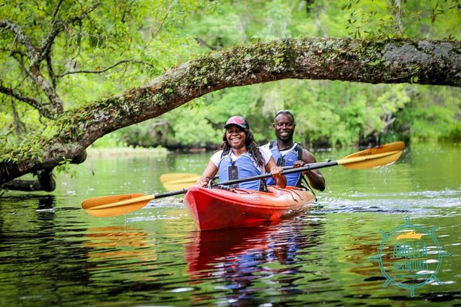 Amelia Island Guided Kayak Tour of Lofton Creek - Wildlife without a guarantee