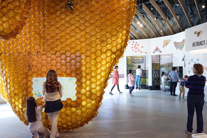 American Museum of Natural History Admission Ticket - How long should you allow?
