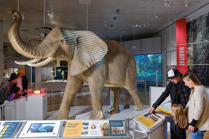 American Museum of Natural History Admission Ticket - Crowds, comfort, and the museum layout