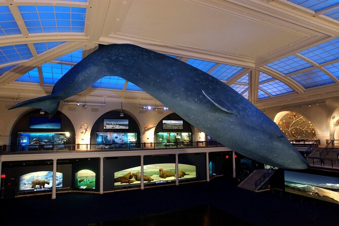 American Museum of Natural History Admission Ticket - Food and a useful family break