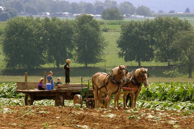 Amish Experience SuperSaver Package - The 90-minute farmlands ride through Lancaster County