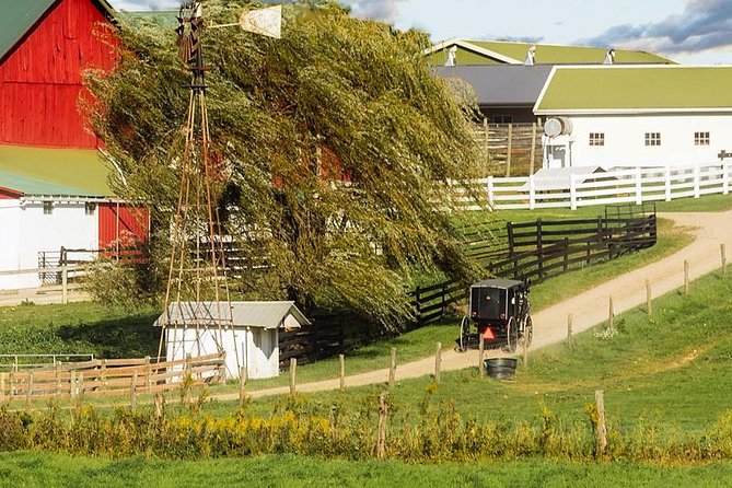 Amish Experience Visit-In-Person Tour - Why this tour feels different from a standard Amish-country drive