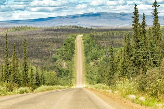 Arctic Circle Day Tour - Key points to know before booking