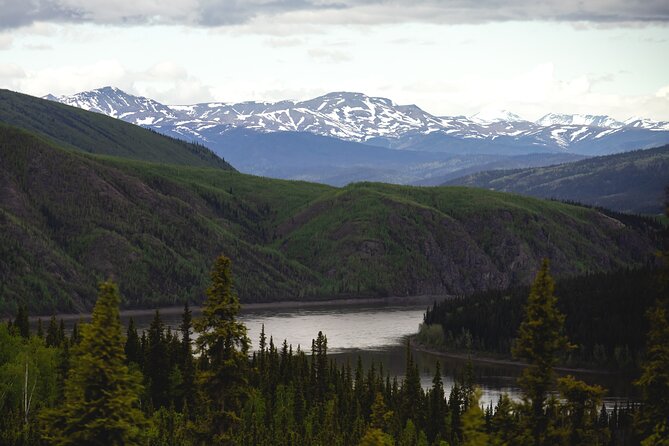 Arctic Circle Day Tour - Hilltop Restaurant: pie, gifts, and a useful bathroom stop