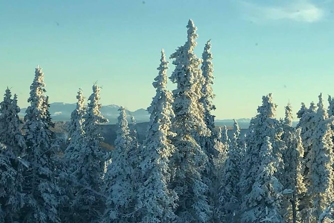 Arctic Circle Day Tour - Reaching the Arctic Circle marker