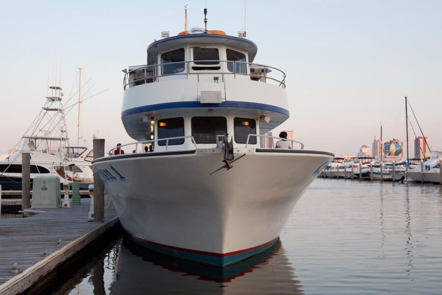 Atlantic City: Dolphin Watching Ocean Cruise Adventure - Food, drinks, and what to bring