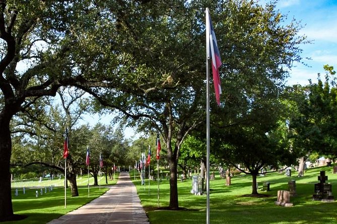 Austin and Hill Country Sightseeing Tour - North Austin, peacocks, art, and university life