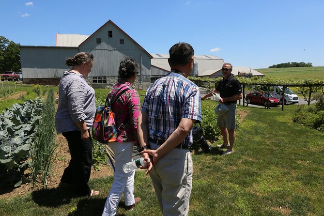 Authentic Tour & Meal with the Amish! - Conversation, Music, and Small Personal Details