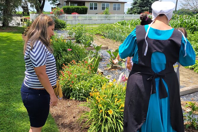 Authentic Tour & Meal with the Amish! - Is the $99 Price Fair?