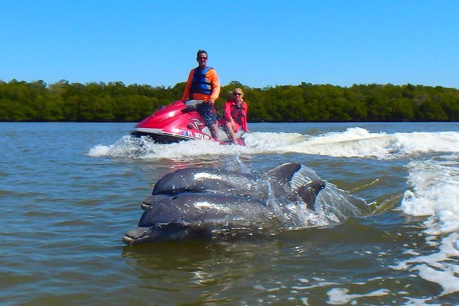 Avi's Premium Dolphin Tour by Jet Ski - Riding from Goodland into the 10,000 Islands