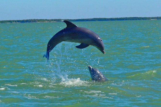 Avi's Premium Dolphin Tour by Jet Ski - What the dolphin search feels like