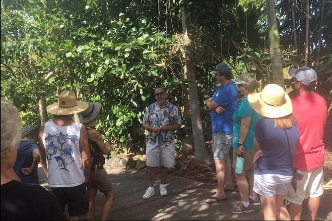 Award Winning Farm Tour: Coffee, Chocolate and Unique Gifts - Walking through coffee, cacao, and biodiversity