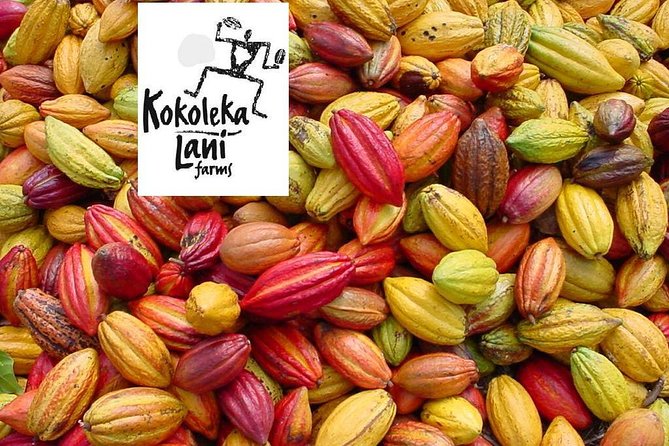 Award Winning Farm Tour: Coffee, Chocolate and Unique Gifts - Who should book this farm experience