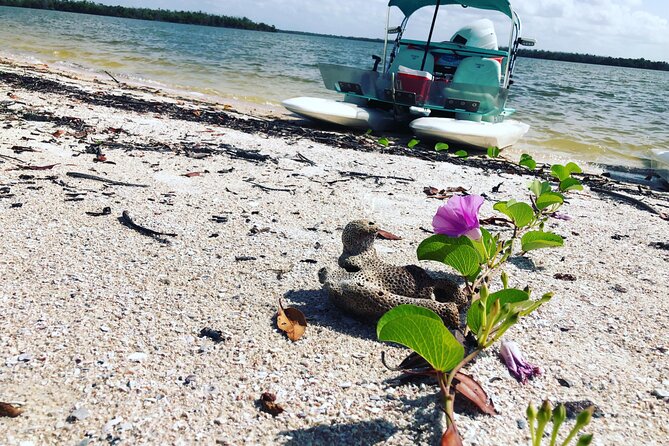 Backwater Adventure's CraigCat Tours of the 10,000 Islands - Why a CraigCat suits the Ten Thousand Islands