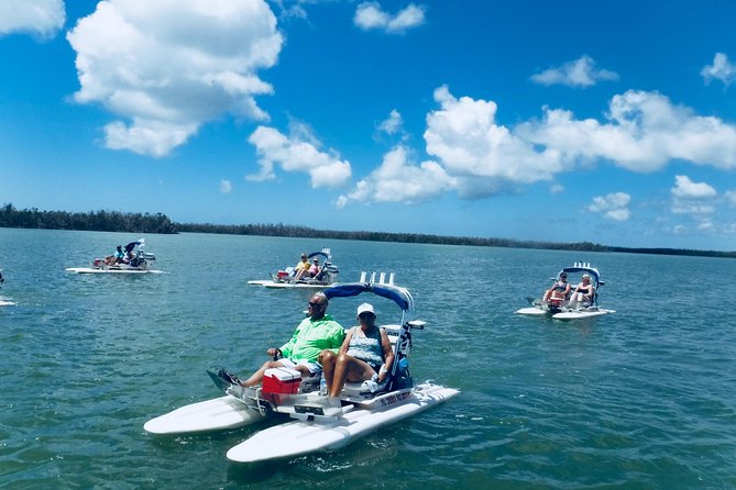 Backwater Adventure's CraigCat Tours of the 10,000 Islands - Stop four: the island and shelling pause