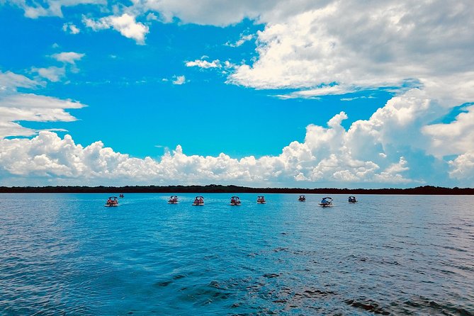 Backwater Adventure's CraigCat Tours of the 10,000 Islands - What the $135 price really buys you