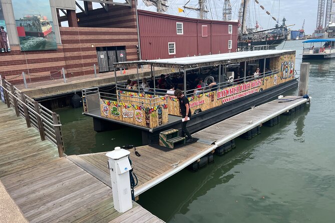 Baywatch Dolphin Tours – Pier 21 Galveston - Key points at a glance