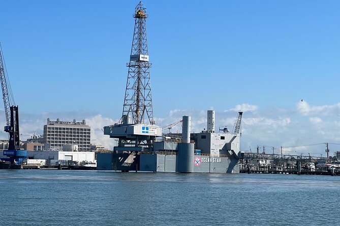 Baywatch Dolphin Tours – Pier 21 Galveston - What the Baywatch dolphin cruise is really like