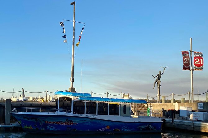 Baywatch Dolphin Tours – Pier 21 Galveston - Watching wild dolphins from the boat