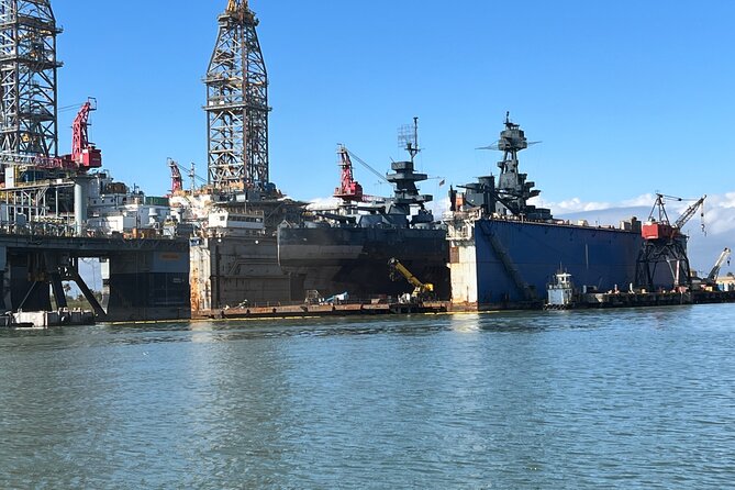 Baywatch Dolphin Tours – Pier 21 Galveston - Who should book this Galveston outing?