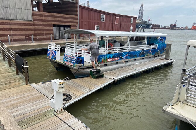 Baywatch Dolphin Tours – Pier 21 Galveston - Captain Adam’s mix of facts and comedy