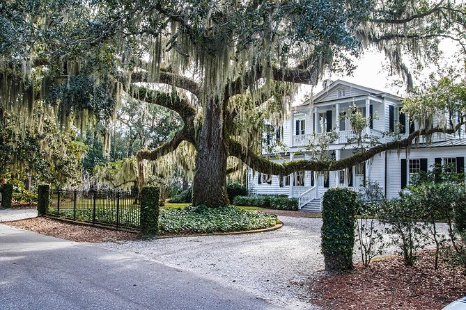 Beaufort City Minibus Tour - Bay Street, shops, houses, and a quick town overview