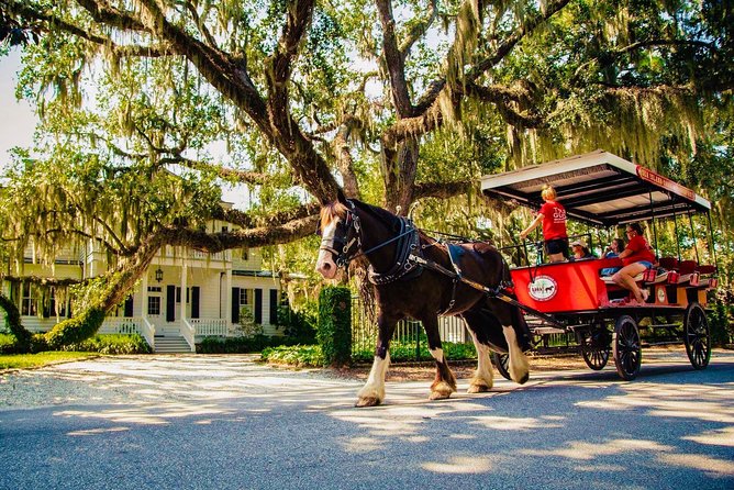 Beaufort’s #1 Horse & Carriage History Tour - Quick facts about the Beaufort carriage ride