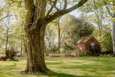Belle Meade Guided Mansion Tour with Complimentary Wine Tasting